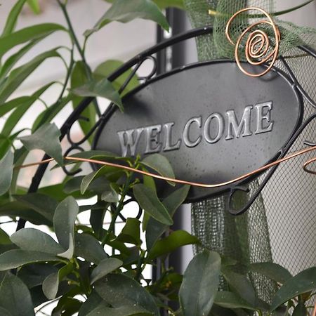 Hotel Alfredo'S Rimini Eksteriør billede